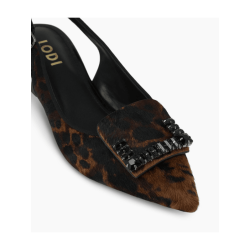 Salón LODI A-RINOLA