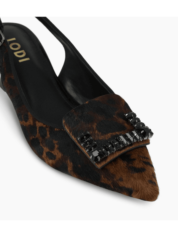 Salón LODI A-RINOLA